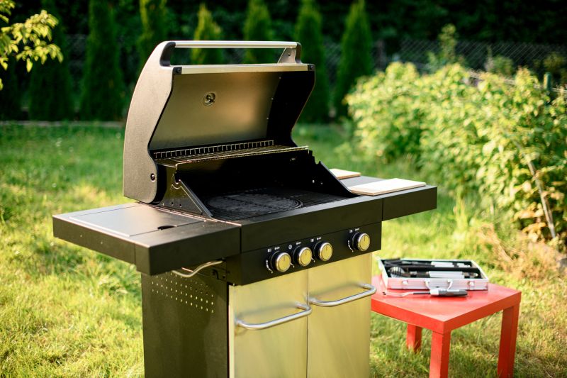 Bbq Removal in Madison, WI